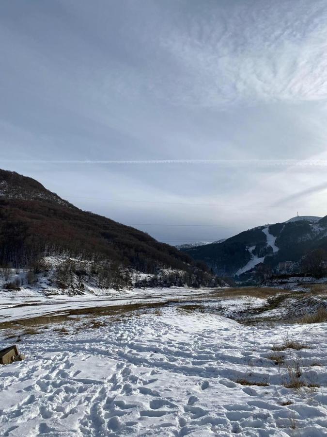 Cece'S Home Mavrovo-Nationalpark Exterior foto